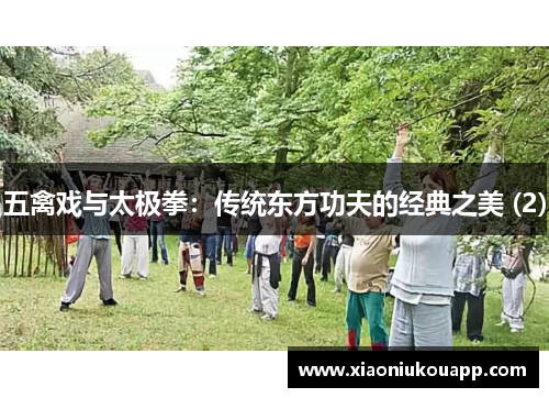 五禽戏与太极拳：传统东方功夫的经典之美 (2)