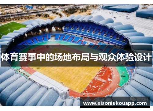 体育赛事中的场地布局与观众体验设计