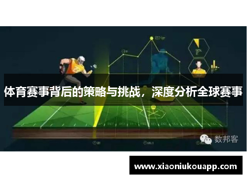 体育赛事背后的策略与挑战，深度分析全球赛事
