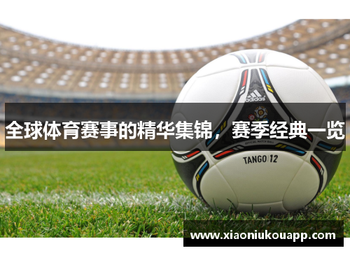全球体育赛事的精华集锦，赛季经典一览