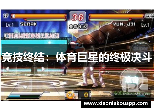 竞技终结：体育巨星的终极决斗