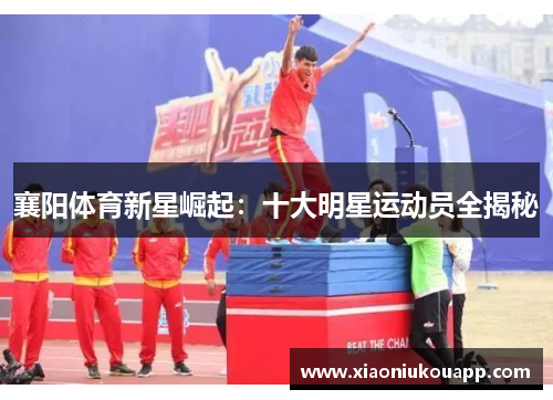 襄阳体育新星崛起：十大明星运动员全揭秘