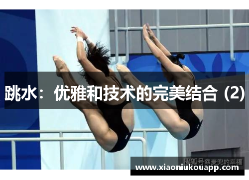跳水：优雅和技术的完美结合 (2)