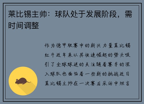 莱比锡主帅：球队处于发展阶段，需时间调整